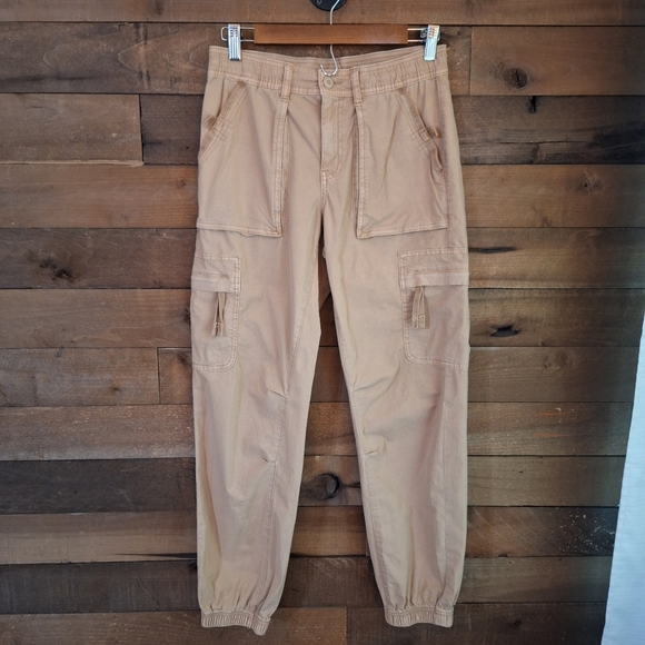 American Eagle Outfitters Pants - NWT American Eagle Khaki Cargo Jogger Pants  – Size 2 Regular